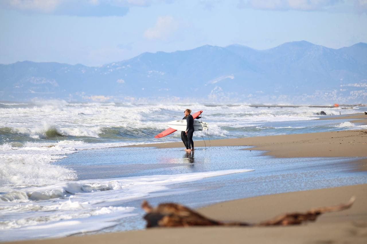 Surf